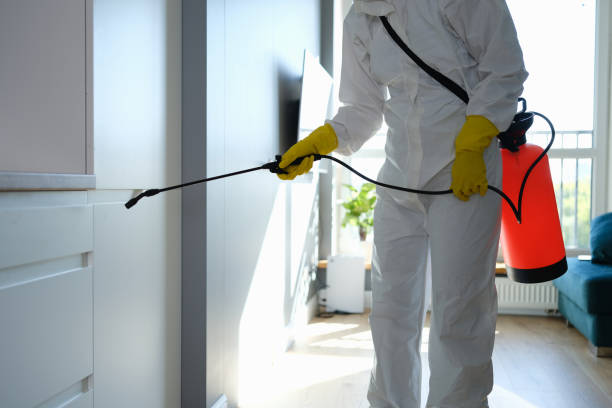 Best Mold Cleaning Services  in Quitman, GA